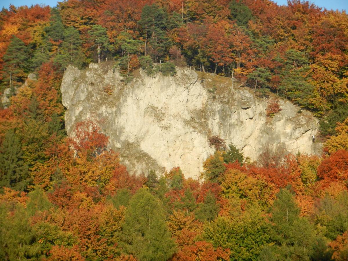 Ferienwohnungen Porisch Egloffstein Экстерьер фото